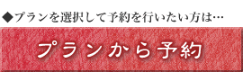 �v��������\��